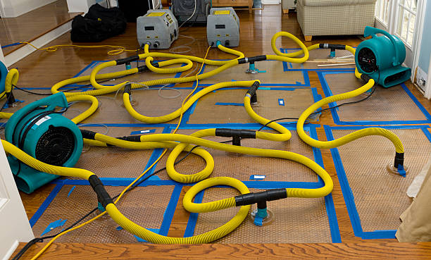 Professional Water Extraction technician working in Davis, CA